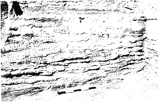 Catalhöyük3