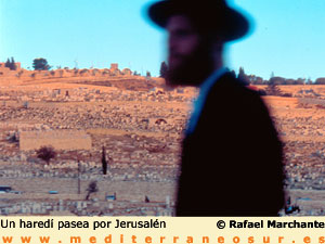 haredi