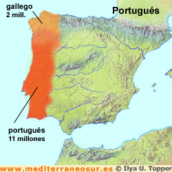 portugues