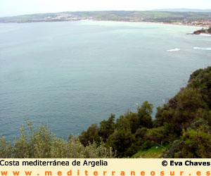 Argelia