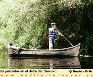 pescador en el Danubio