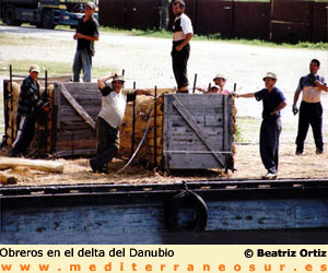 obreros en el delta del Danubio