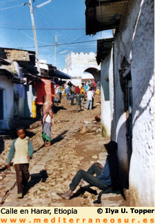 mercado addis