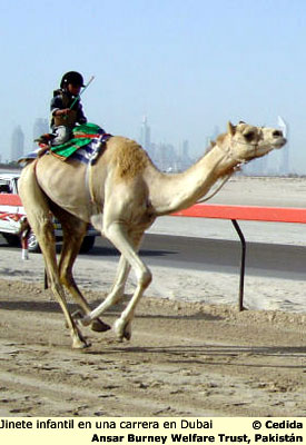 jinete infantil en Dubai