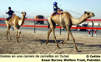 jinetes en Dubai