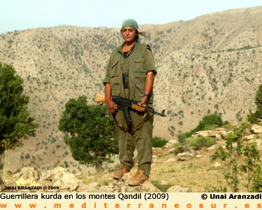 Guerrillera kurda
