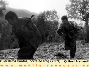 Guerrilleros kurdos