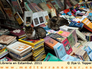 Librera en Estambul