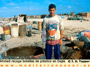 Pescador marroqui, Dajla
