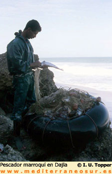 Pescador marroqui, Dajla