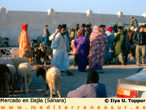 Mercado en Dajla, Sáhara