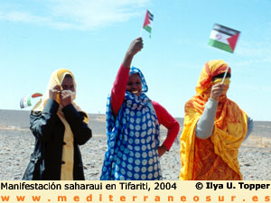 Manifestacion saharaui