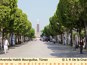 Avda Habib Bourguiba