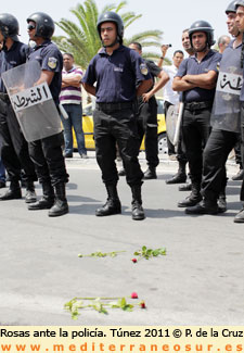Rosas ante la polica en Tnez